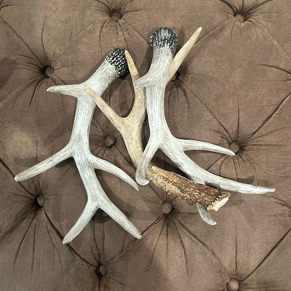 Imitation deer antlers